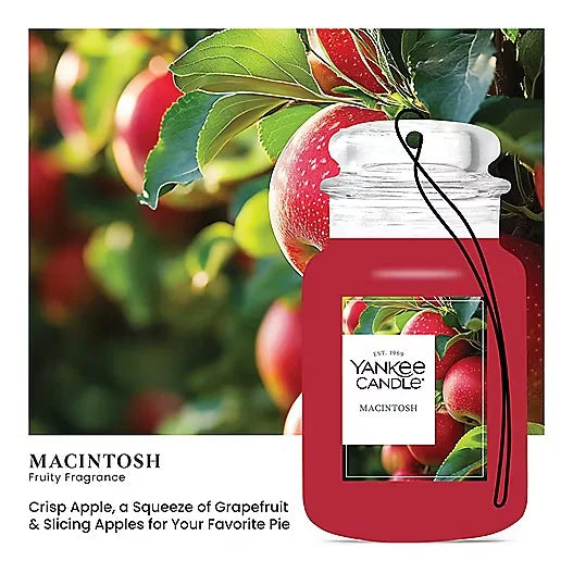 Macintosh Original Large Jar Candle